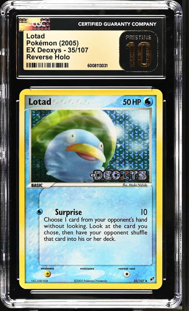 Lotad