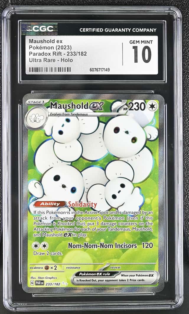 MAUSHOLD ex