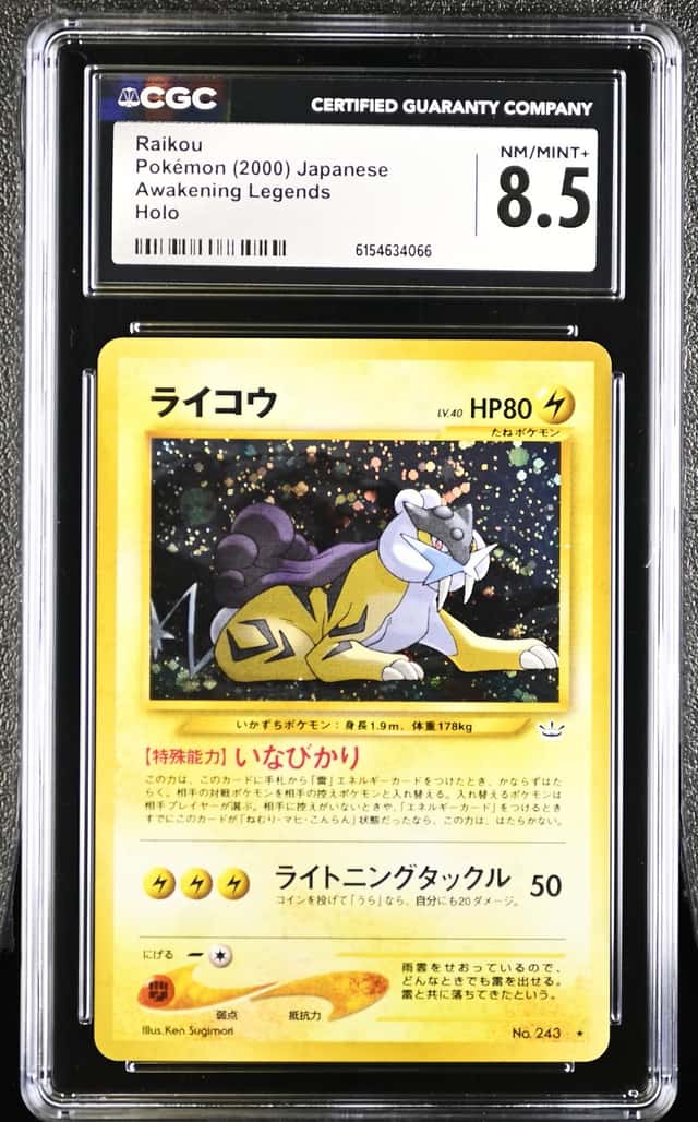 Raikou