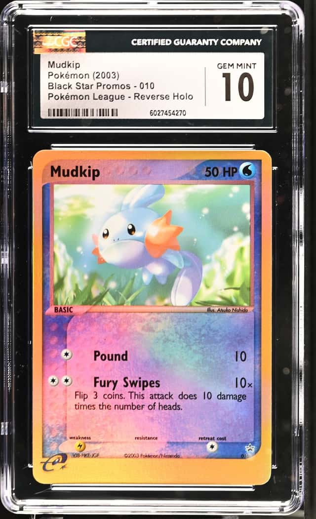 Mudkip