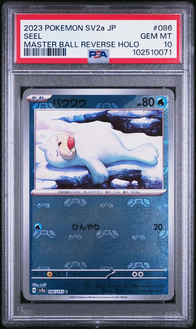 Seel