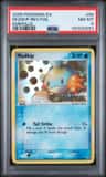 Mudkip