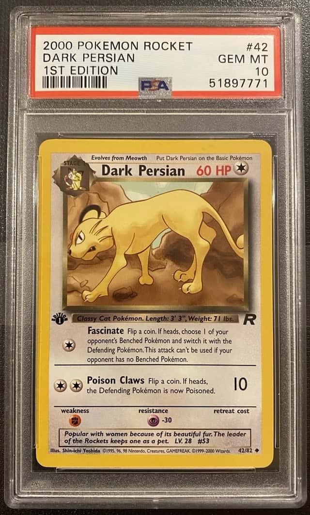 Dark Persian