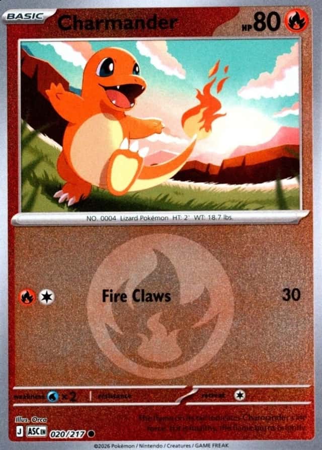 Reverse Holo