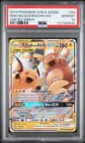 Raichu & Alolan Raichu Gx