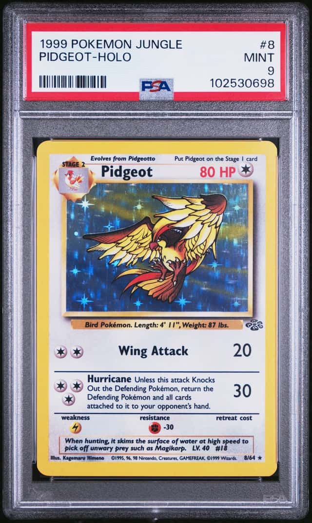 Pidgeot