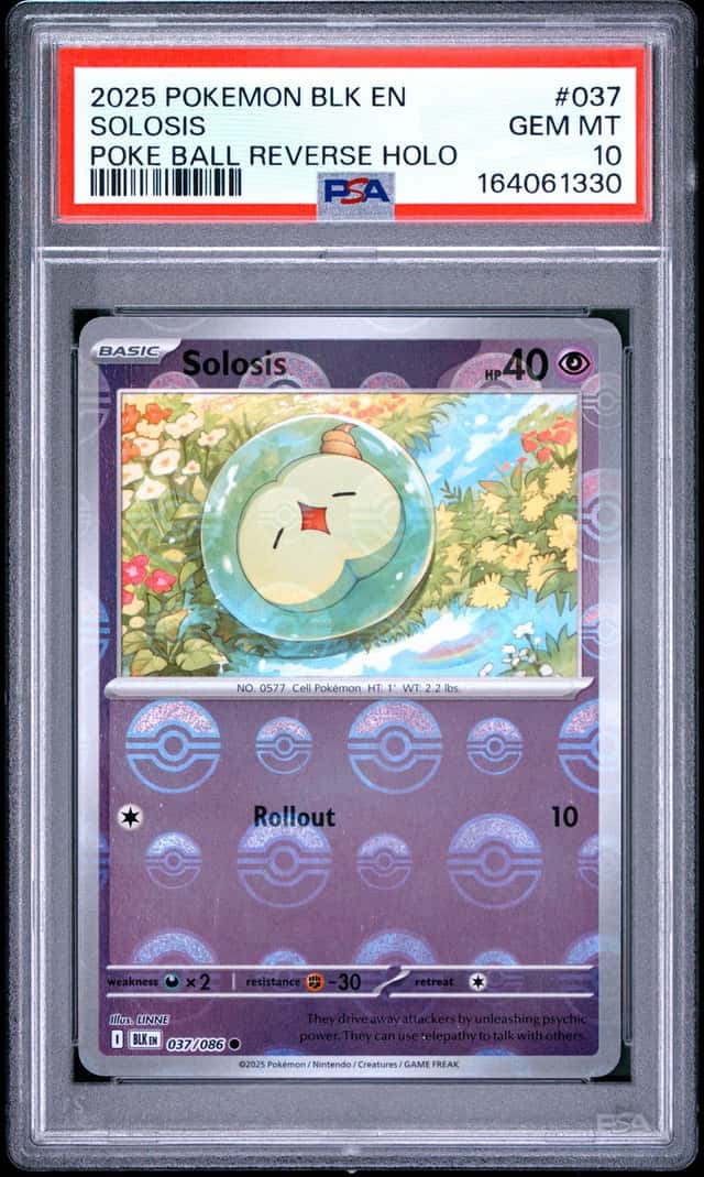 Solosis