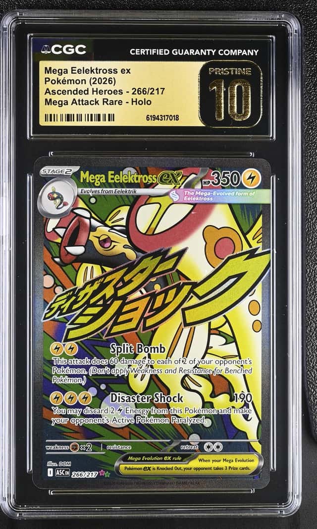 MEGA EELEKTROSS ex