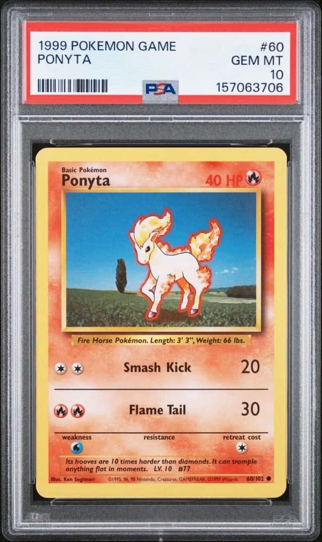 Ponyta