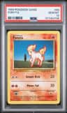 Ponyta