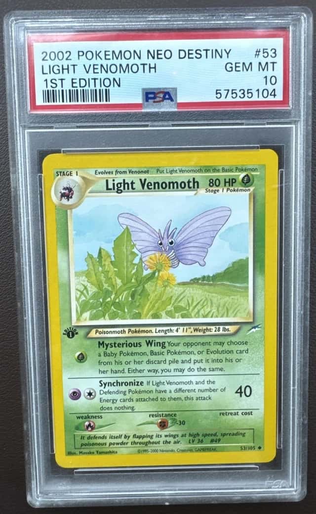 Light Venomoth
