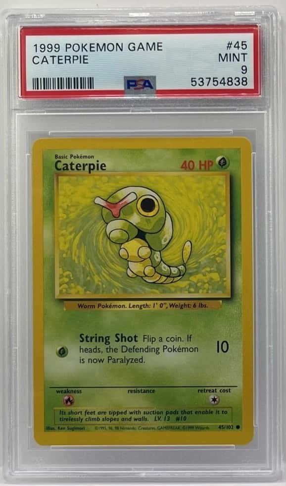 Caterpie