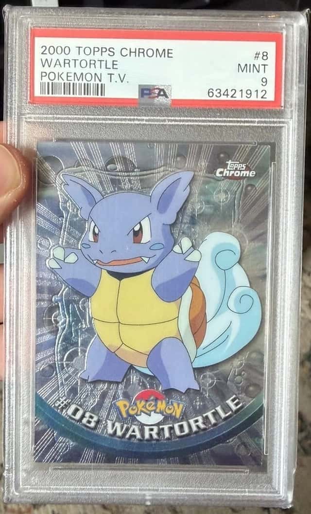 Wartortle