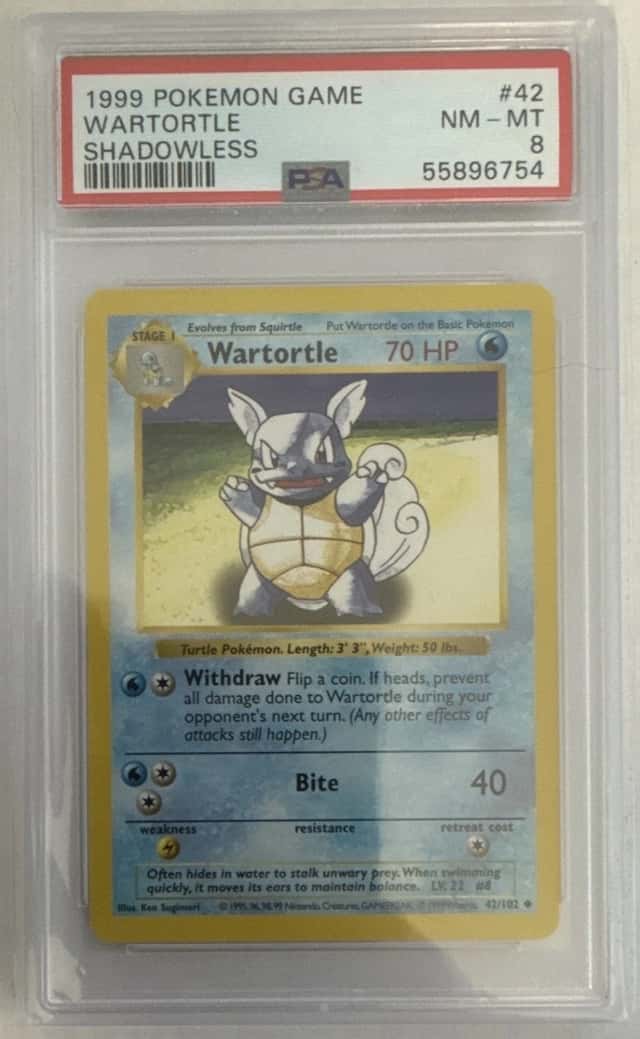 Wartortle
