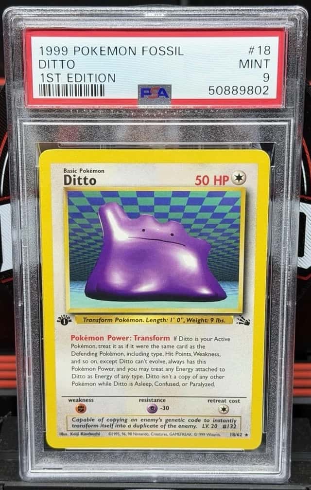 Ditto