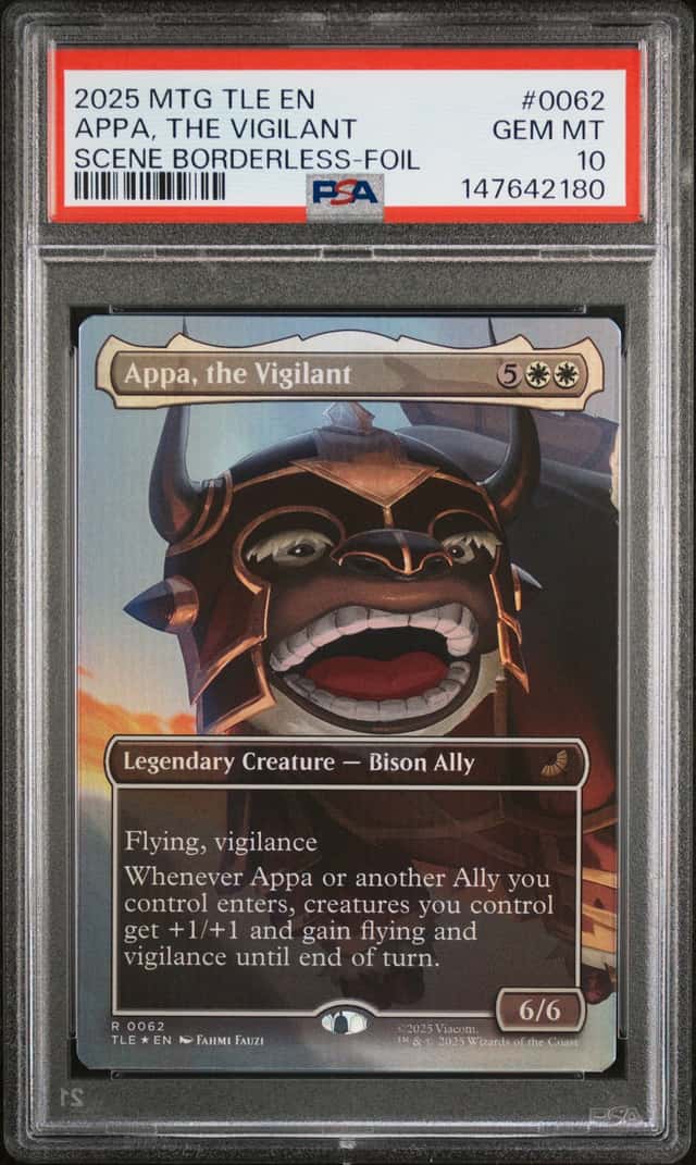 Appa, the Vigilant