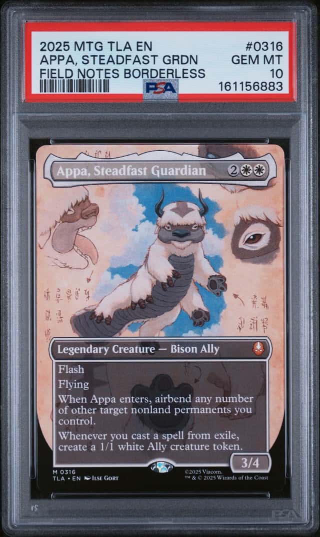 Appa, Steadfast Guardian