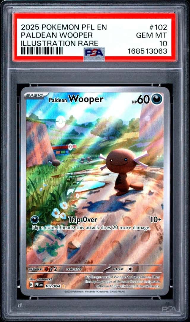 Paldean Wooper