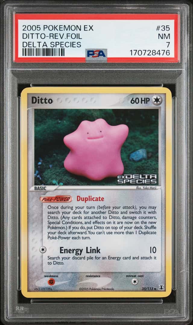 Ditto