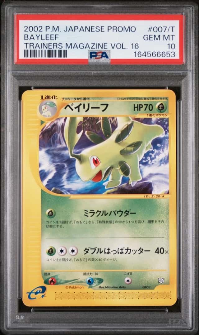 Bayleef
