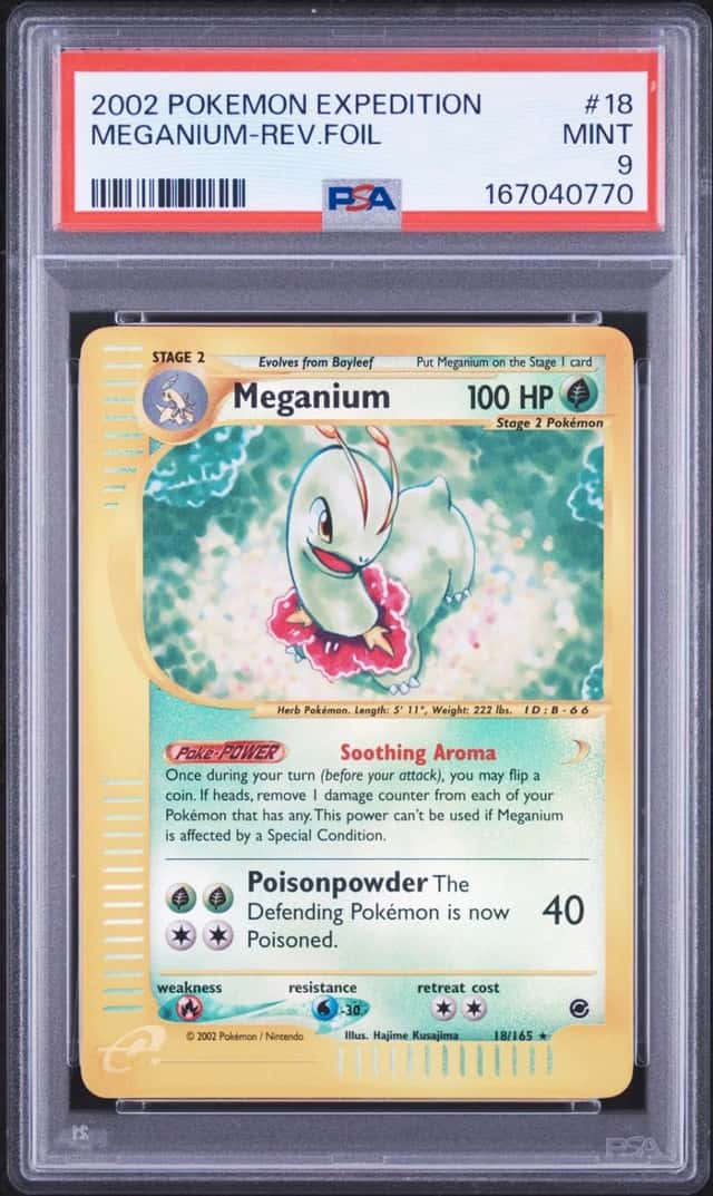 Meganium