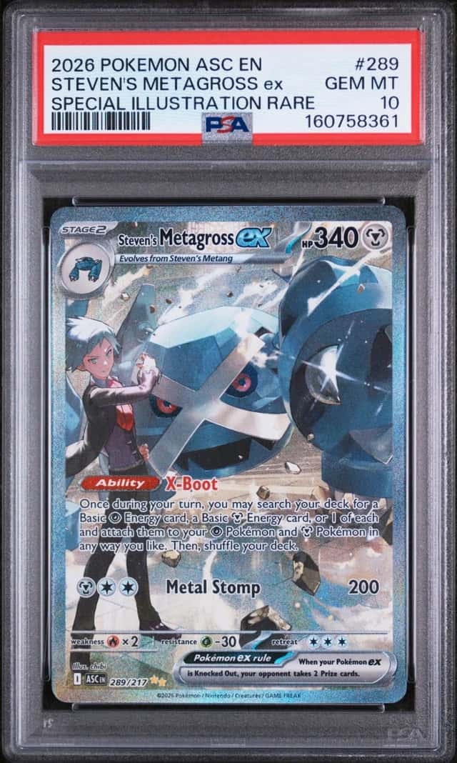 STEVEN'S METAGROSS ex