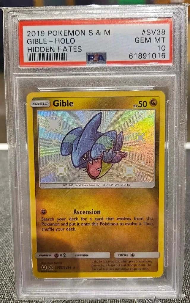 Gible
