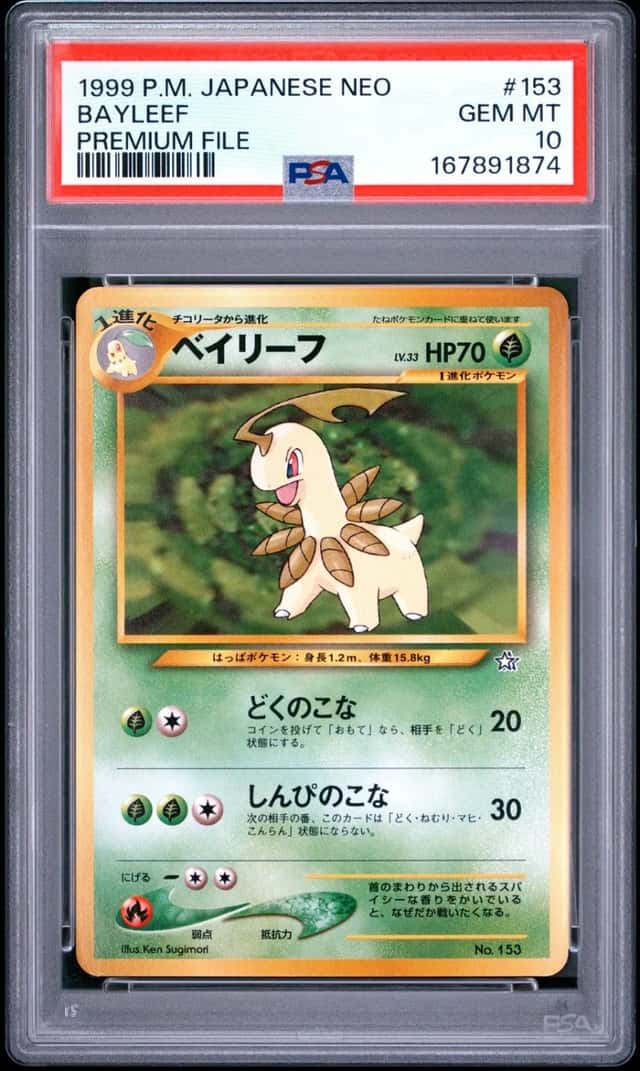 Bayleef