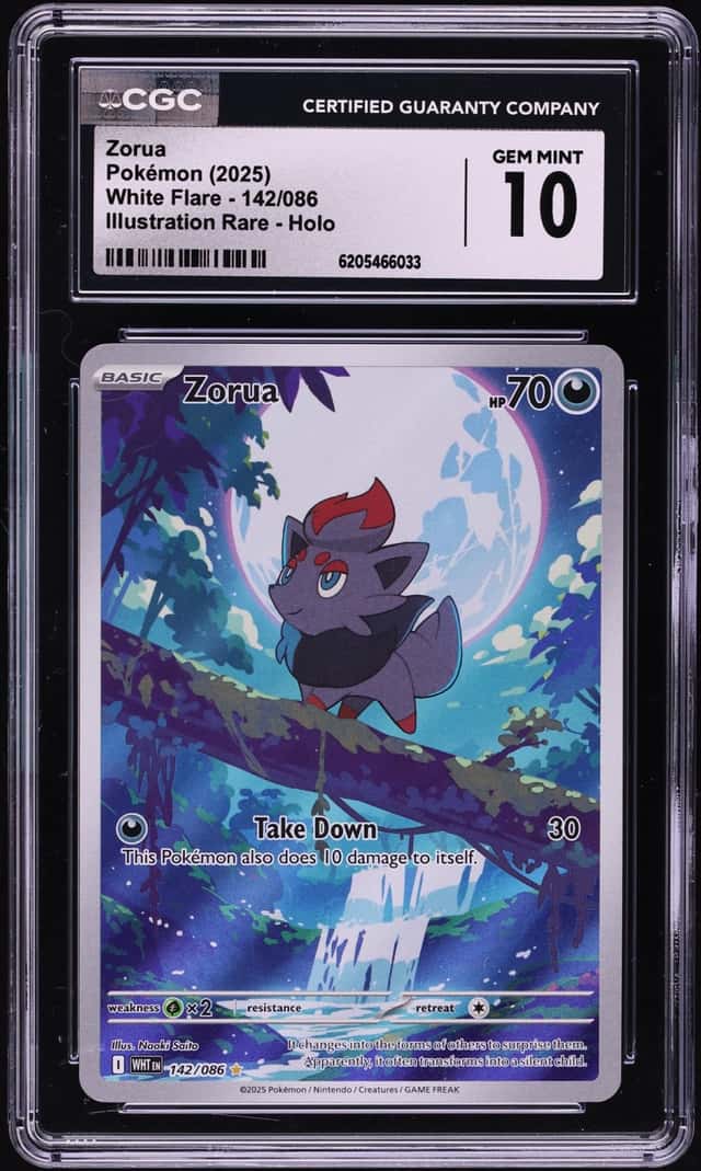 Zorua