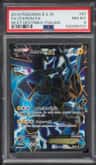 Zekrom Ex
