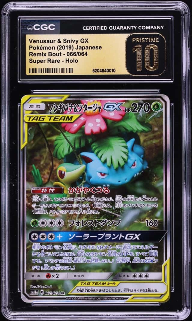 Venusaur & Snivy GX