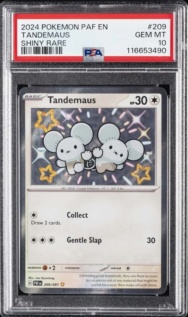 Tandemaus