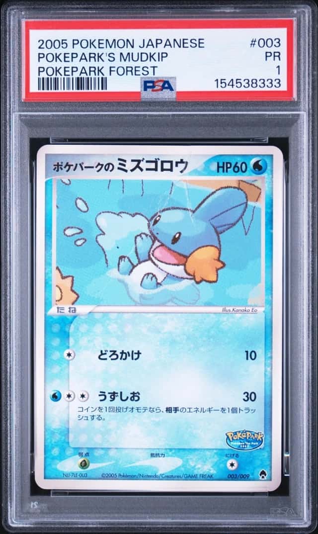 Pokepark's Mudkip