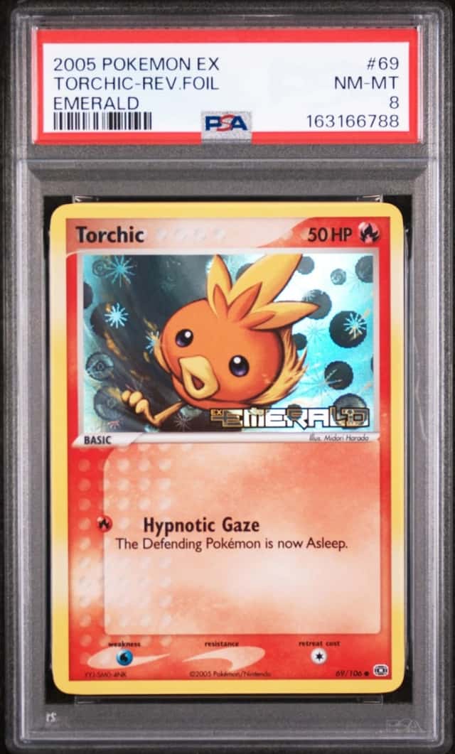 Torchic