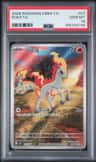 Ponyta