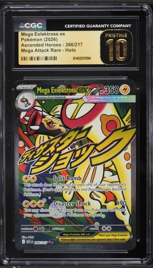 MEGA EELEKTROSS ex