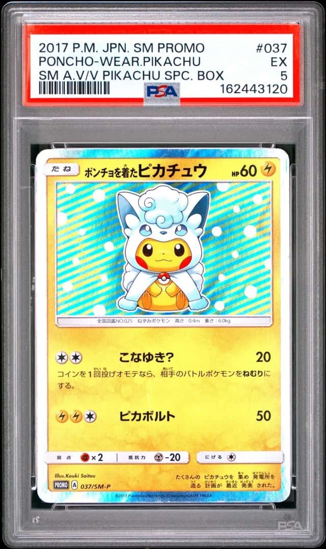 Poncho-Wearing Pikachu