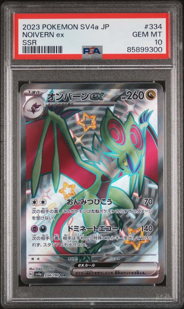 NOIVERN ex