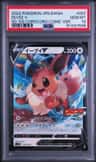 Eevee V