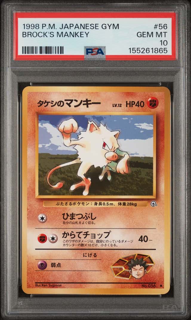 Brock's Mankey