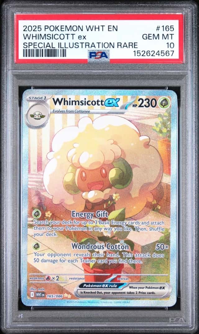 WHIMSICOTT ex