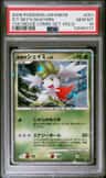 Icy Sky'S Shaymin