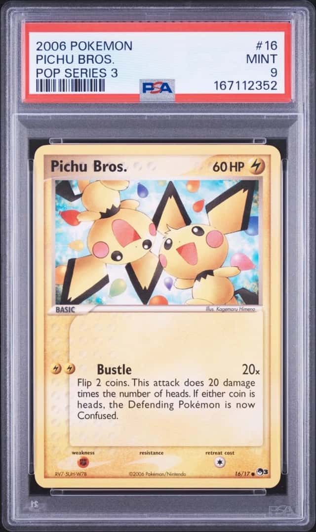 Pichu Bros