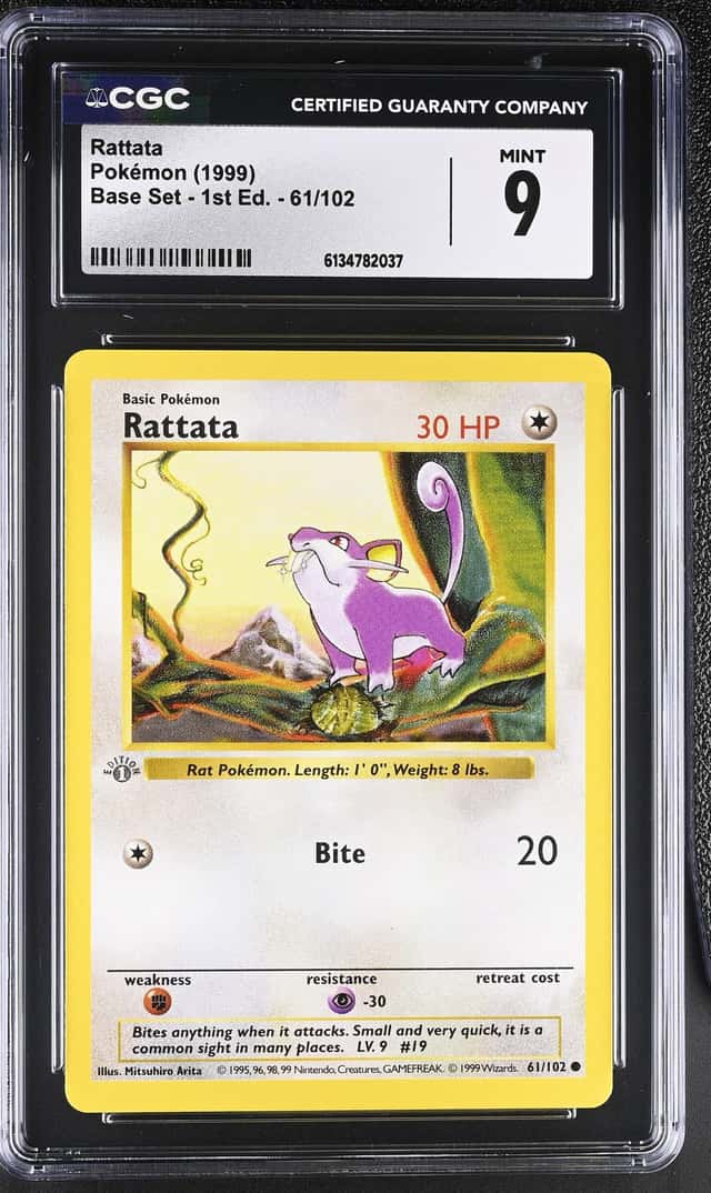 Rattata