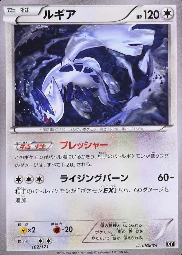 Holo
