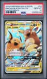 Raichu & Alolan Raichu Gx