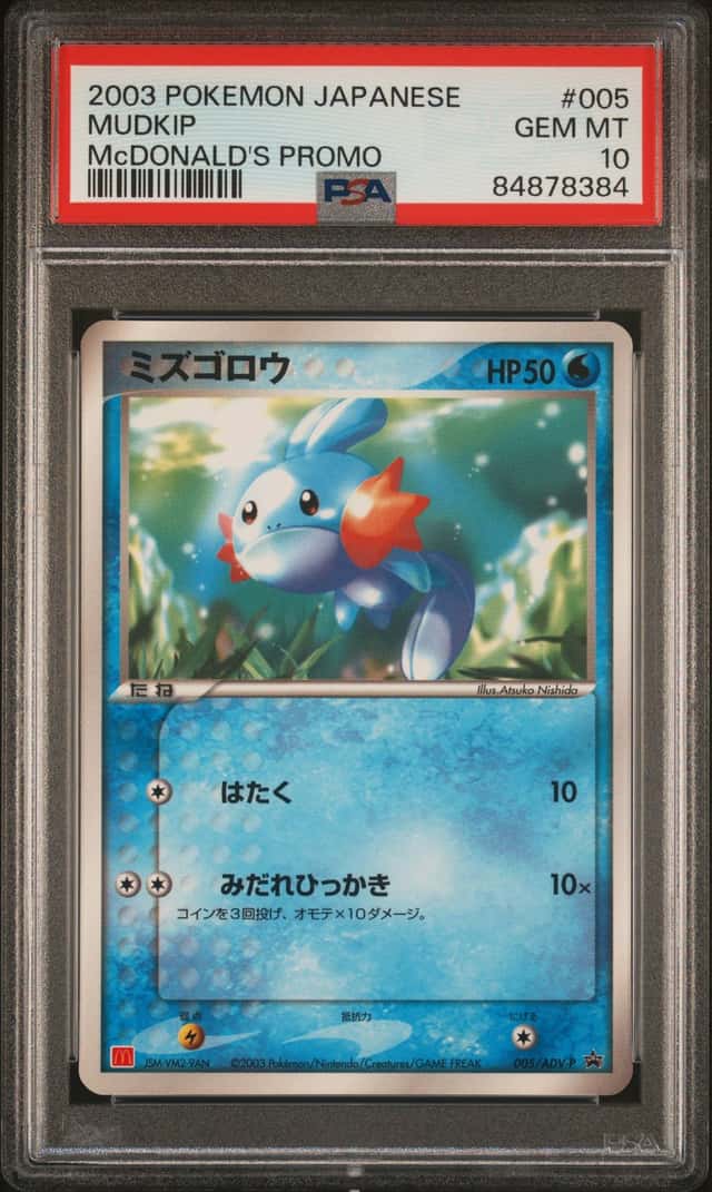 Mudkip