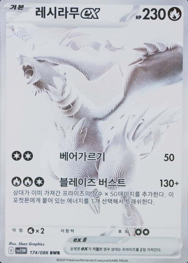 Base / no variant