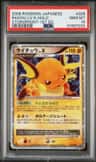 Raichu Lv.x