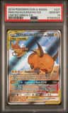 Raichu & Alolan Raichu Gx